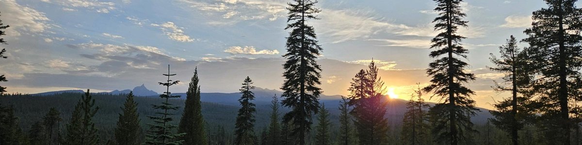 USDA Forest Service