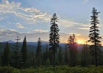 USDA Forest Service