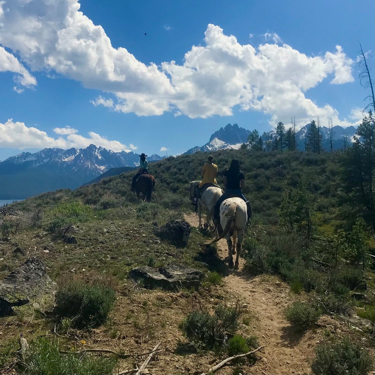 Bear Creek Transfer Camp