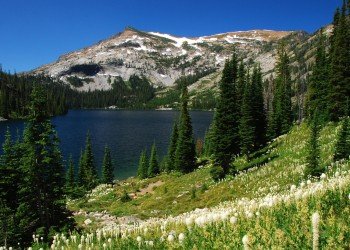 Black Bear Campground