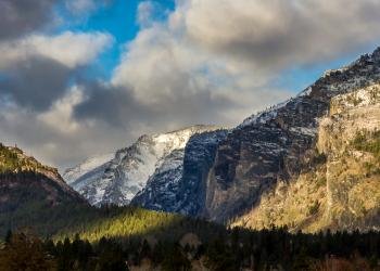USDA Forest Service