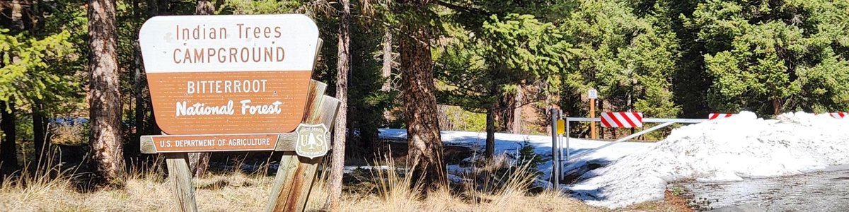 USDA Forest Service