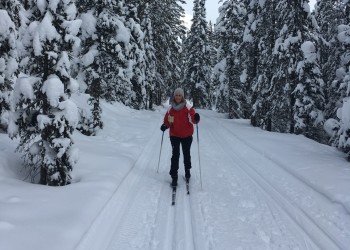 Logging Creek Campground