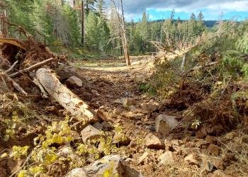 Mineral Camp Campground