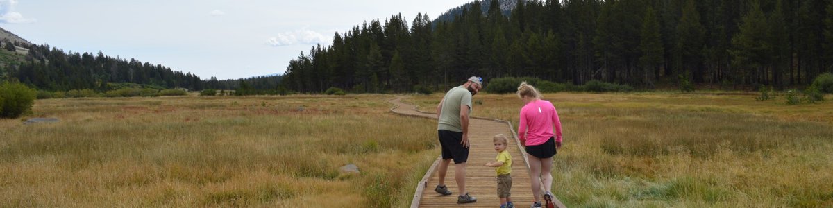 USDA Forest Service