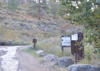 USDA Forest Service