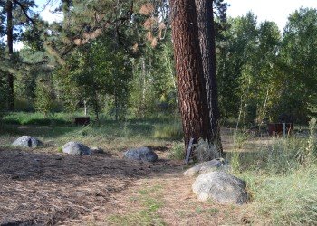USDA Forest Service