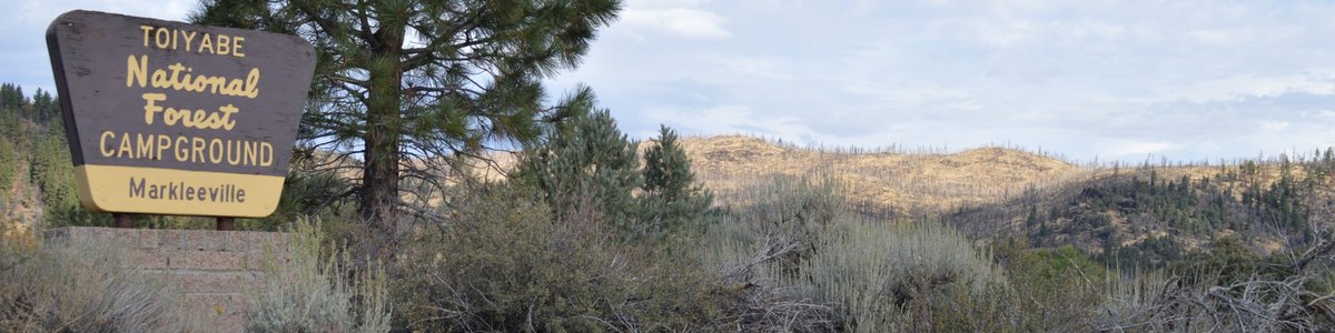 USDA Forest Service