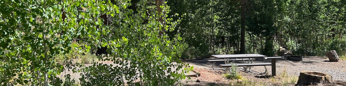 Big Creek Campground