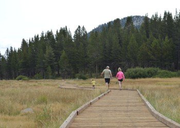 Lye Creek Campground