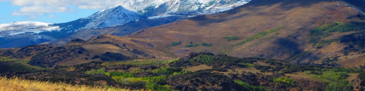 USDA Forest Service