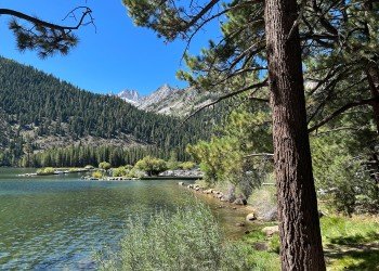 Columbine Campground
