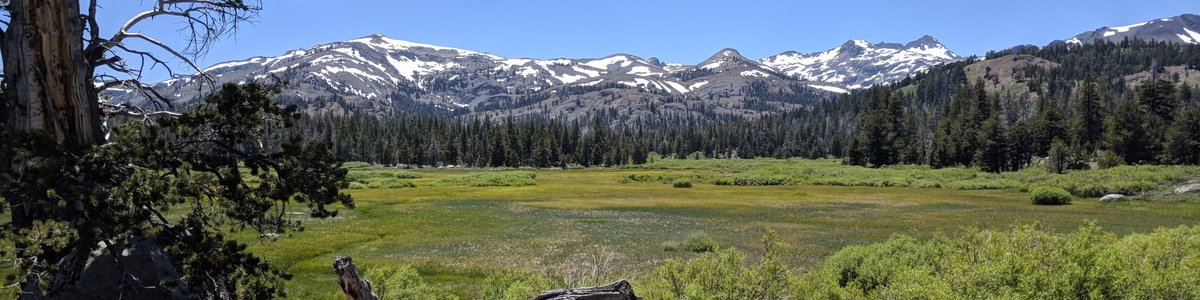 USDA Forest Service