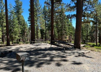 USDA Forest Service