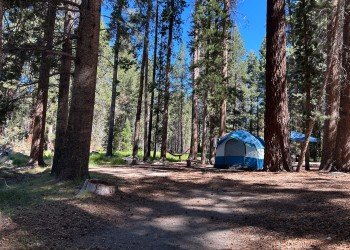 USDA Forest Service