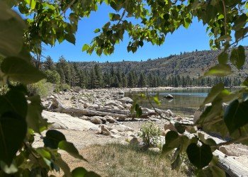 USDA Forest Service