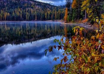 Browns Lake Campground