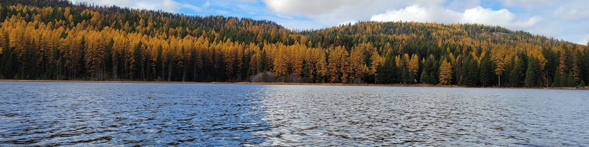 USDA Forest Service