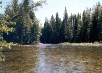 Green Bay Campground