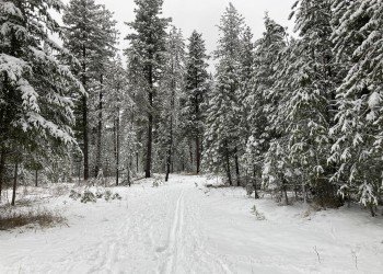 USDA Forest Service