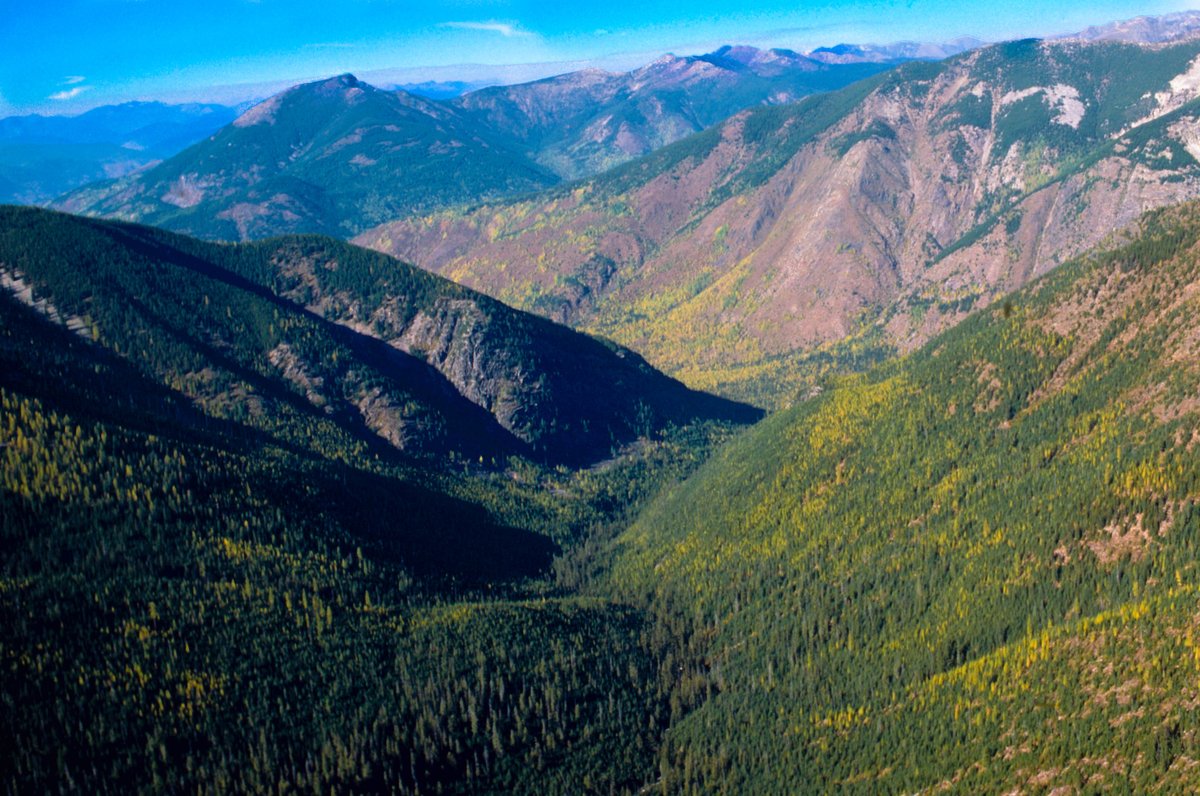 USDA Forest Service