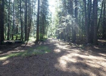 USDA Forest Service