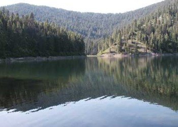 Trout Lake Campground