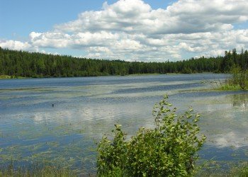 USDA Forest Service