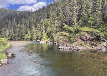 USDA Forest Service