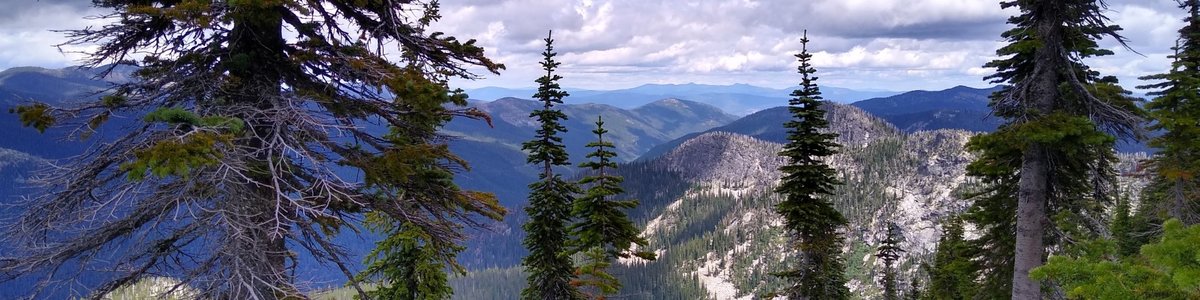 USDA Forest Service