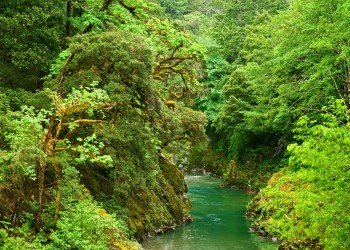 USDA Forest Service