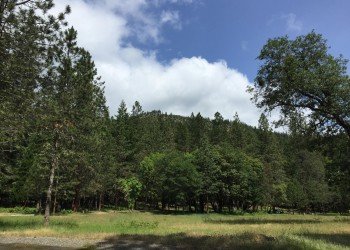 USDA Forest Service