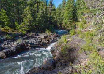 USDA Forest Service