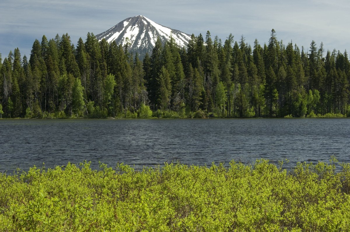 USDA Forest Service