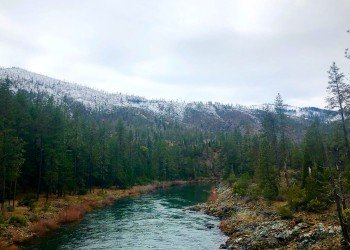 USDA Forest Service
