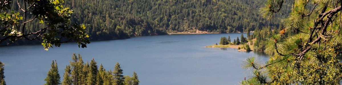 USDA Forest Service