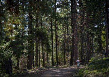 Little Falls Campground