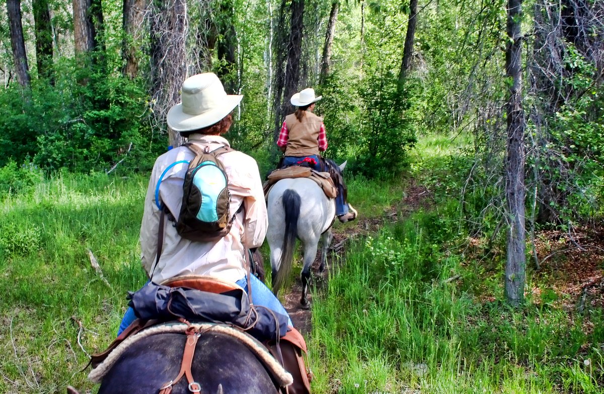 USDA Forest Service
