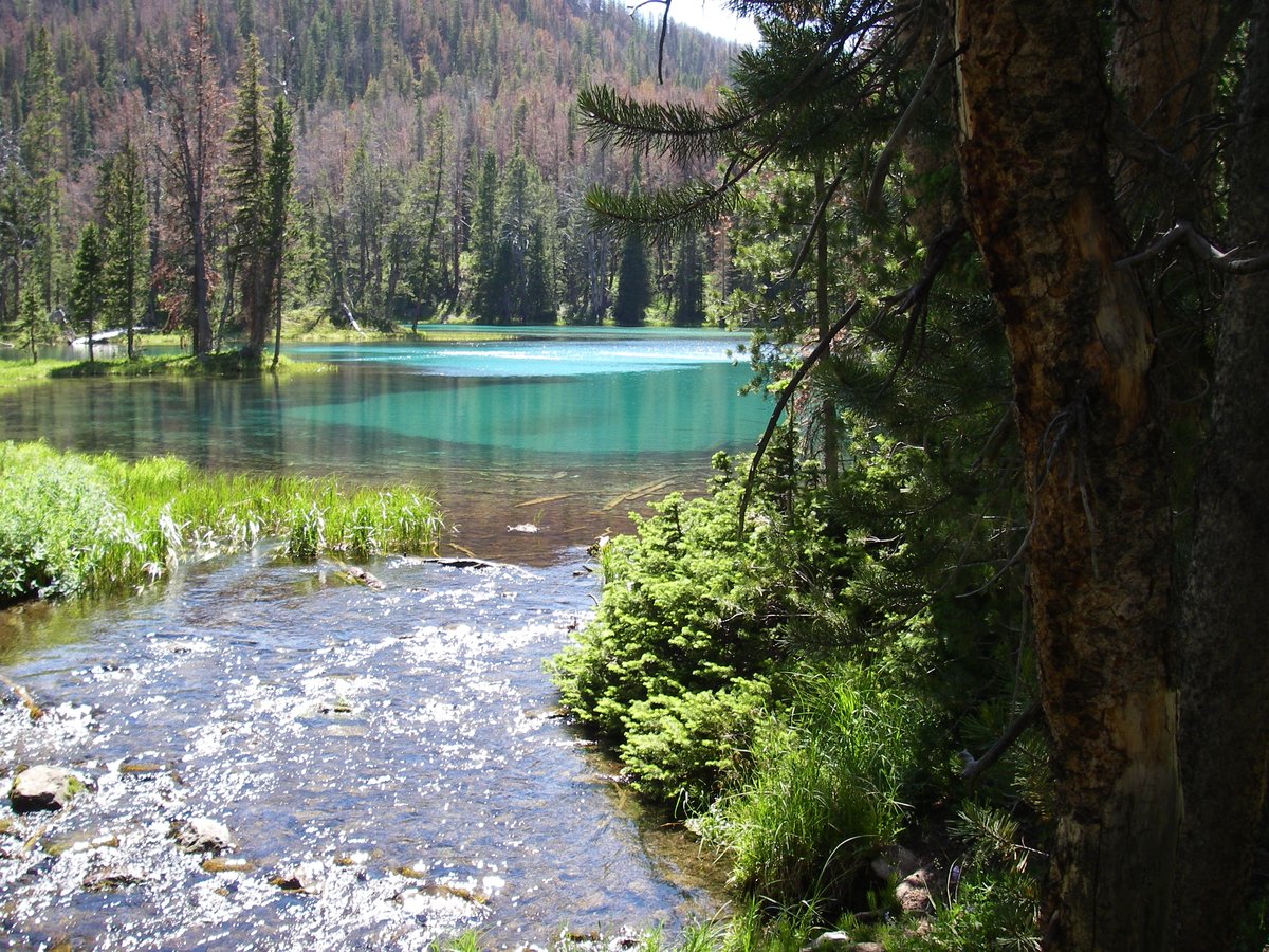 USDA Forest Service