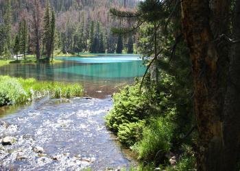 USDA Forest Service