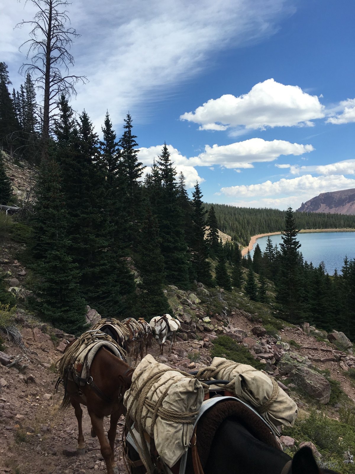 Pole Creek Lake Campground