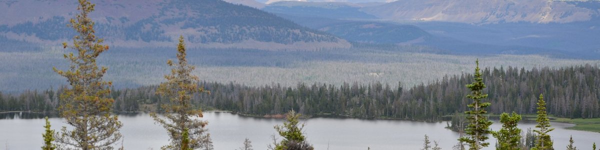 USDA Forest Service