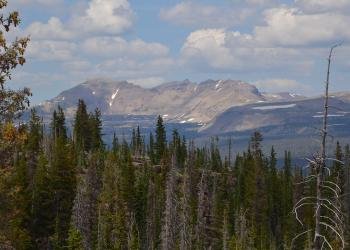 USDA Forest Service