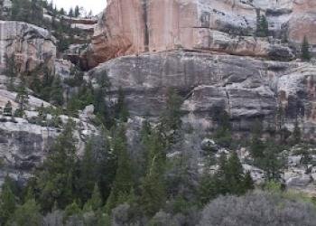 USDA Forest Service