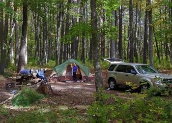 The Pines Campground