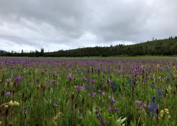 Mill Creek Campground