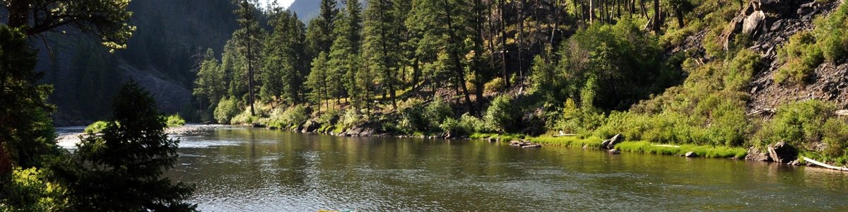 USDA Forest Service