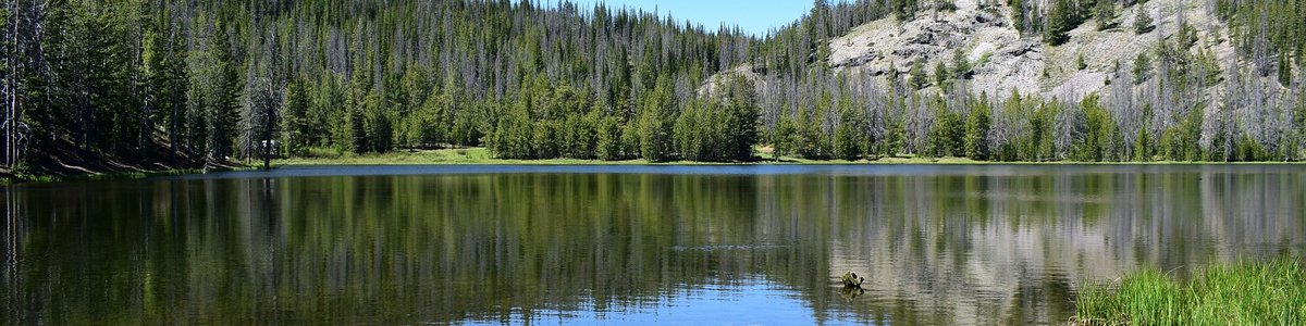 USDA Forest Service