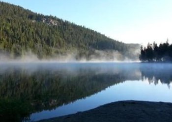 Lake Ellen West Campground