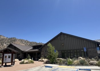 Brush Creek Dispersed Camping